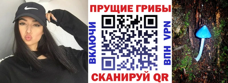 Псилоцибиновые грибы Cubensis  omg ССЫЛКА  Горняк 